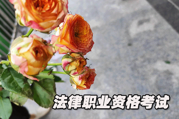 黄石法律职业资格考试培训机构哪个好