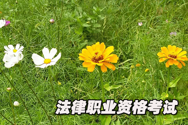 遂宁法律职业资格考试培训机构哪个好