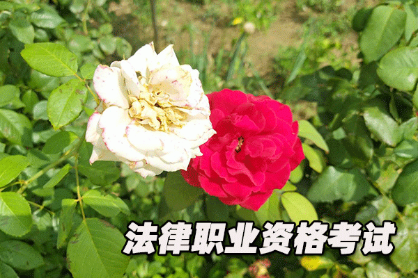 内江法律职业资格考试培训机构哪个好