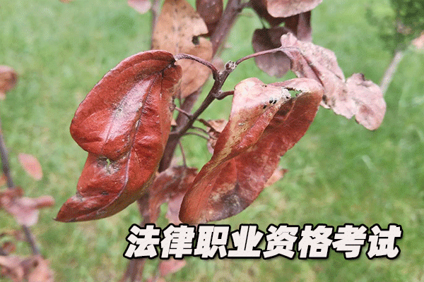 红河法律职业资格考试培训机构哪个好