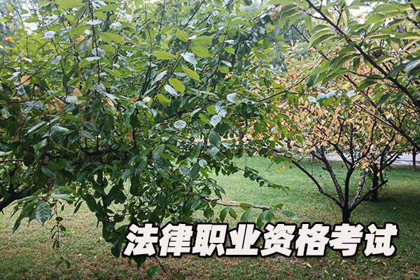 渭南法律职业资格考试培训机构哪个好