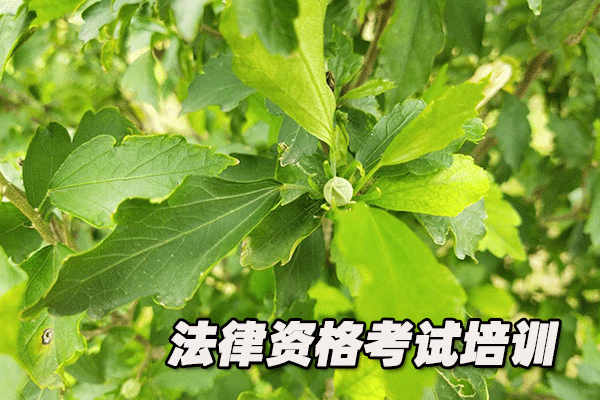 海口法律职业资格考试培训机构哪个好