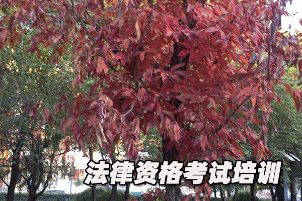 惠州法律职业资格考试培训机构哪个好