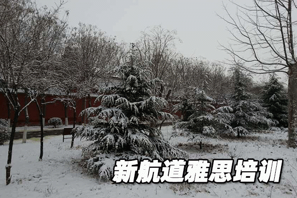 四川成都新航道雅思培训课程价格