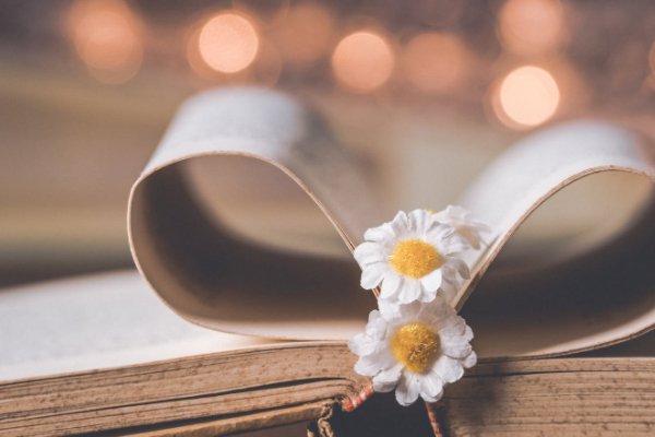 信阳考研培训机构排名