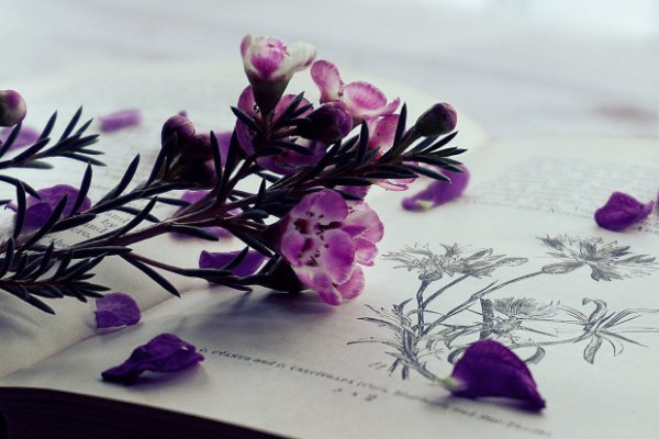 四平海文考研收费标准_价目表