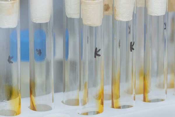 南通研究生考试辅导机构哪家好_报名费多少