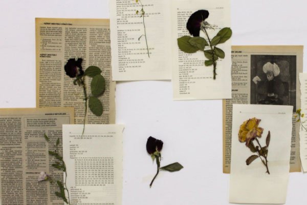 自贡考研辅导机构