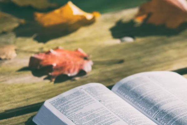 内江考研辅导班排名排行榜