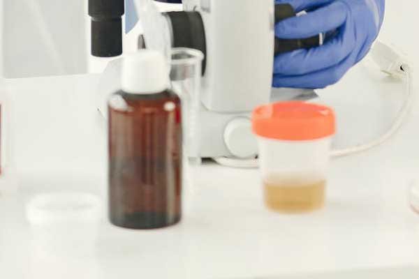 楚雄考研辅导班排名排行榜