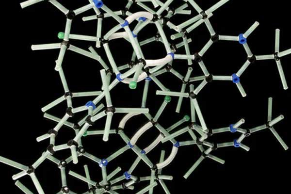 绥化考研辅导班排名排行榜