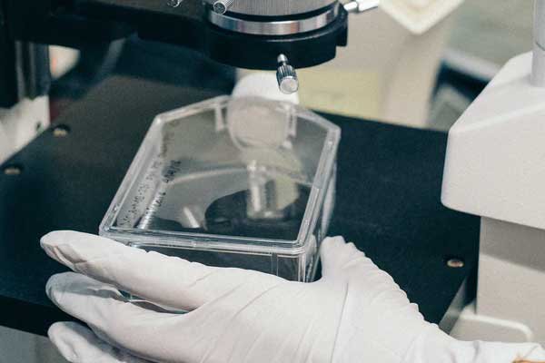 大庆考研辅导班排名排行榜