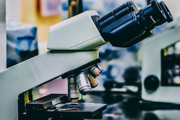 黑河考研辅导班排名排行榜     