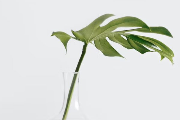 鞍山学历提升机构排名