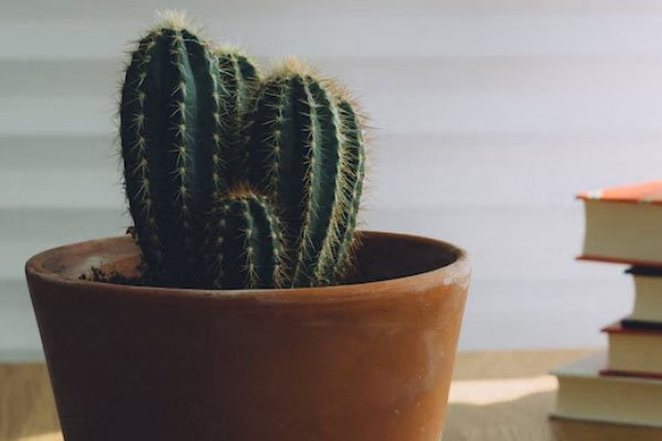 泰安学历提升机构哪家好