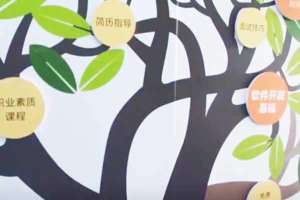 石家庄桥西区青少年信息学奥赛noip辅导班价格