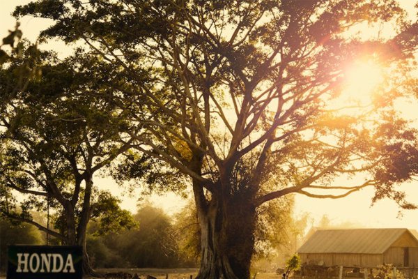 临沂乡村规划师培训机构有哪些_排名哪家好