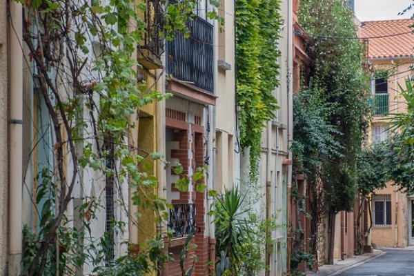 蚌埠乡村规划师培训机构有哪些_排名哪家好