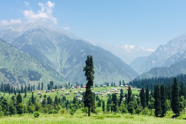 宜宾乡村规划师培训机构有哪些_排名哪家好