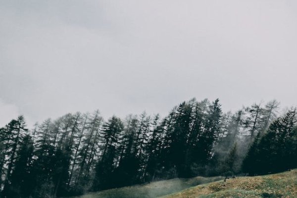 南充乡村规划师培训机构有哪些_排名哪家好