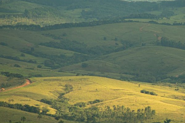 贵阳乡村规划师培训机构有哪些_排名哪家好