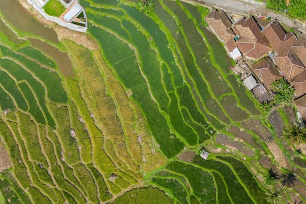 绵阳乡村规划师培训机构有哪些_排名哪家好