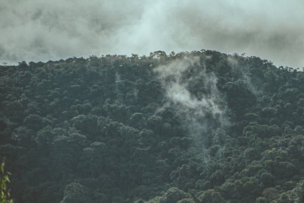 乐山乡村规划师培训机构有哪些_排名哪家好