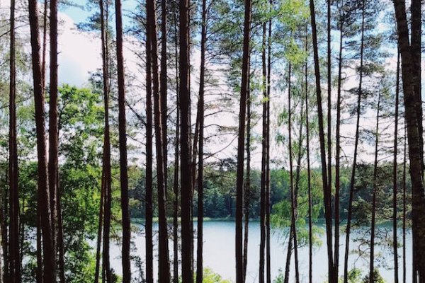 达州乡村规划师培训机构有哪些_排名哪家好