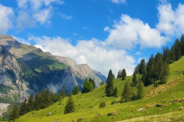 大同乡村规划师培训合格证书报名