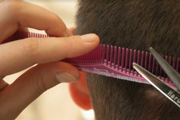 德州飞剪美发培训学费多少钱