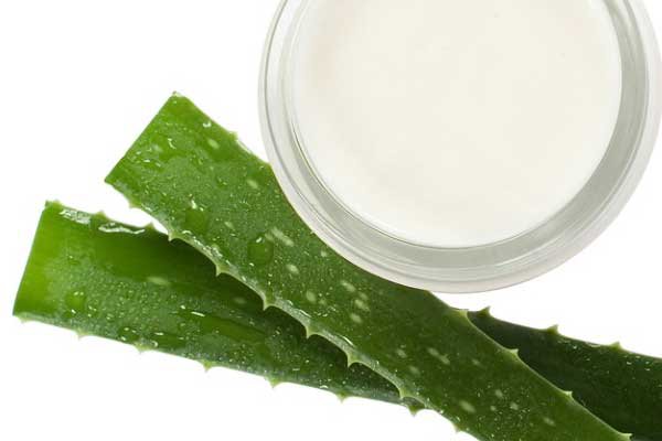 德州飞剪美容美发学校地址在哪