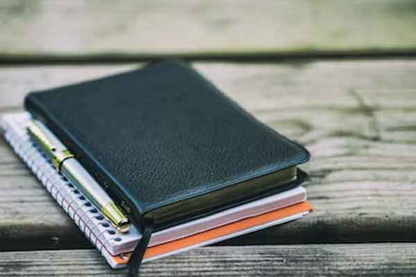 上海国际高中有什么课程