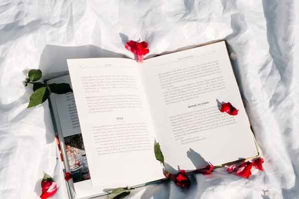 太仓双语小学简介