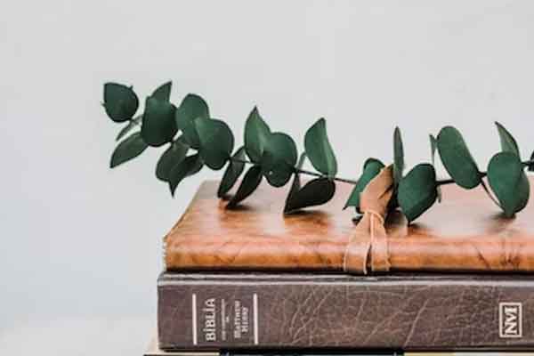 六安教师招聘考试考哪些科目