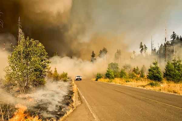 消防设施操作员证和消防工程师证的区别