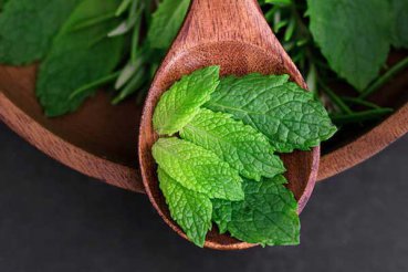 大同中医专长医师考试培训机构排名