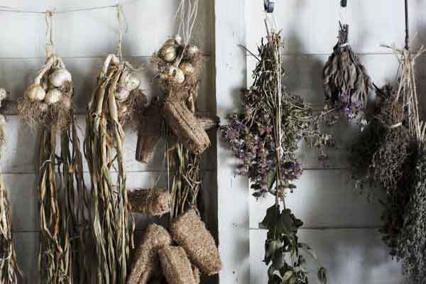 安徽中医专长医师考试培训机构排名