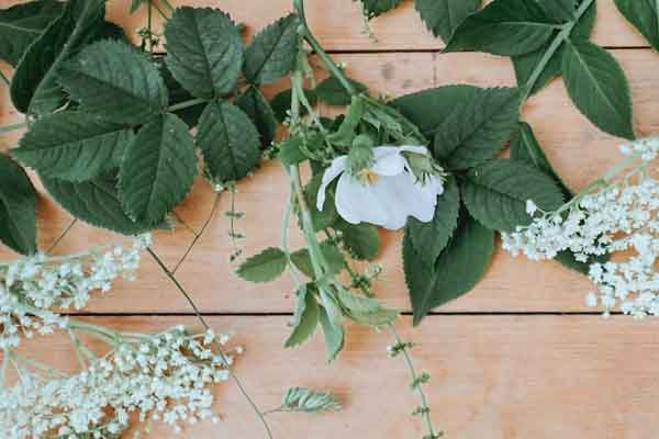 滁州中医专长医师考试培训机构排名